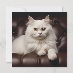Majestic white cat card