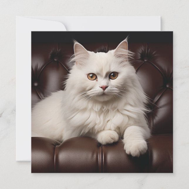 Majestic white cat card (Front)