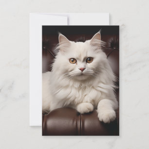 Majestic white cat card