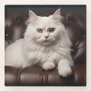 Majestic white cat glass coaster