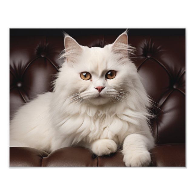 Majestic white cat photo print (Front)