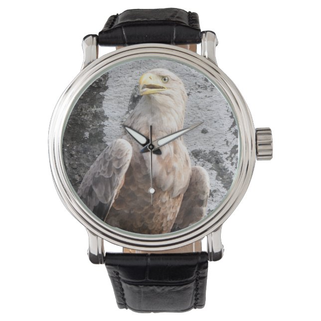 Majestic White Tailed Eagle Wildlife Rugged  Watch (Front)