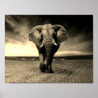 Majestic Wild Bull Elephant in Sepia