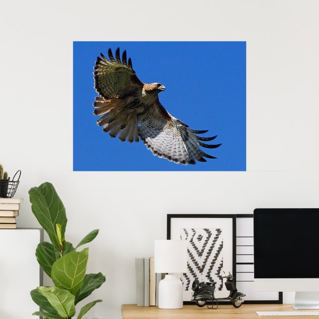 Majestic Wings Framed Print (Home Office)