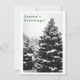 Majestic Winter in Black and White, Personalized Holiday Card