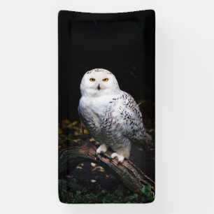 Majestic winter snowy owl banner
