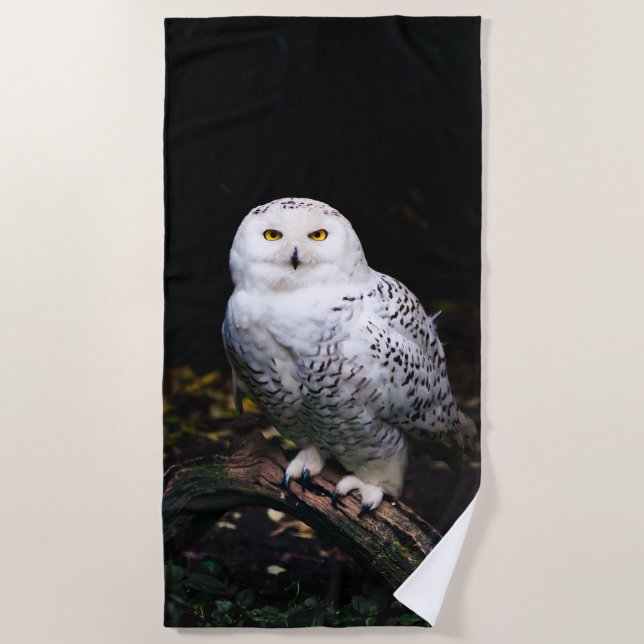 Majestic winter snowy owl beach towel (Front)