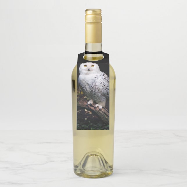 Majestic winter snowy owl bottle tag (On Bottle)