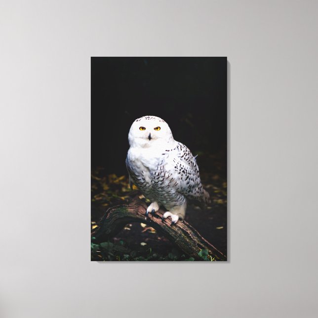 Majestic winter snowy owl canvas print (Front)