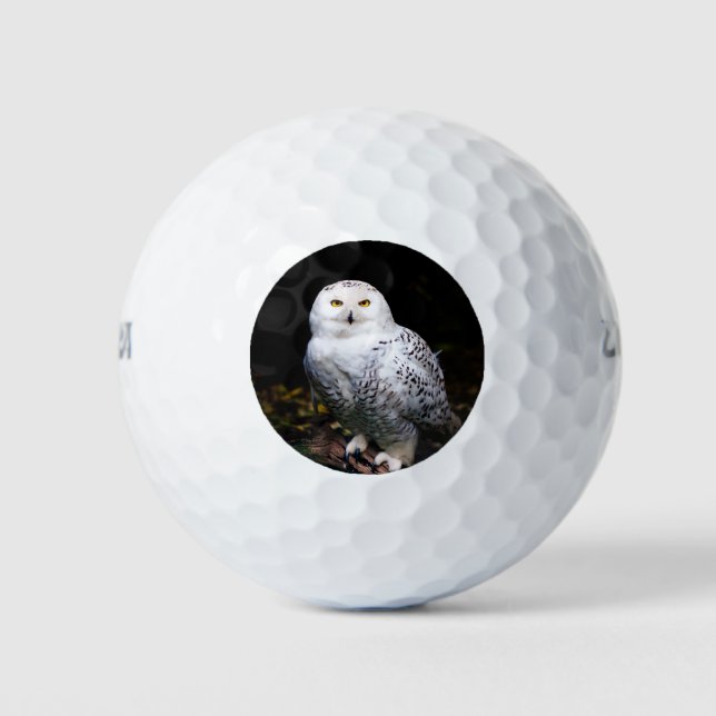 Majestic winter snowy owl golf balls (Front)