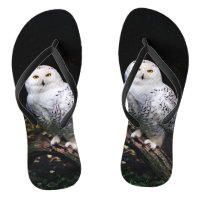 Majestic winter snowy owl