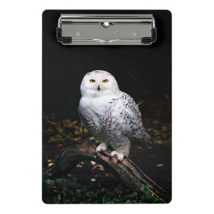 Majestic winter snowy owl mini clipboard