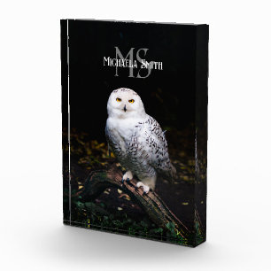 Majestic winter snowy owl monogram custom name photo block