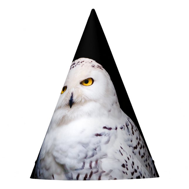 Majestic winter snowy owl party hat (Front)