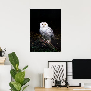 Majestic winter snowy owl poster