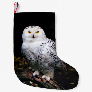 Majestic winter snowy owl small christmas stocking