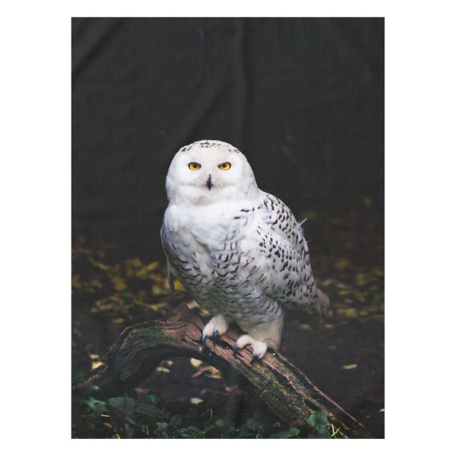 Majestic winter snowy owl tablecloth (Front)