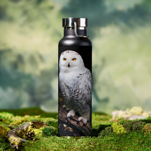 Majestic winter snowy owl water bottle