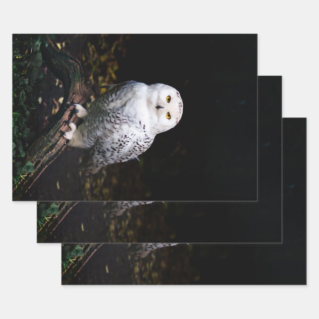 Majestic winter snowy owl wrapping paper sheet (Set)