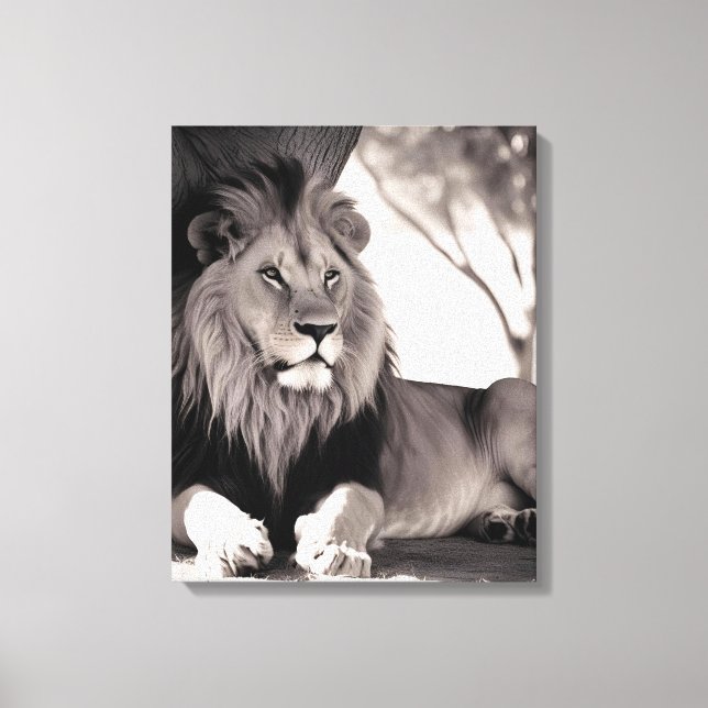 Majistic African Lion Black and White Canvas Print (Front)