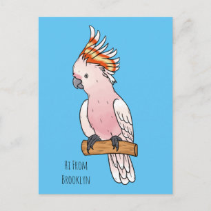 Major mitchell cockatoo bird cartoon illustration postcard