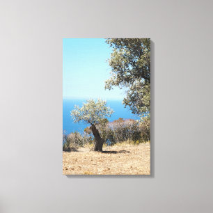 Majorca Wrapped Canvas