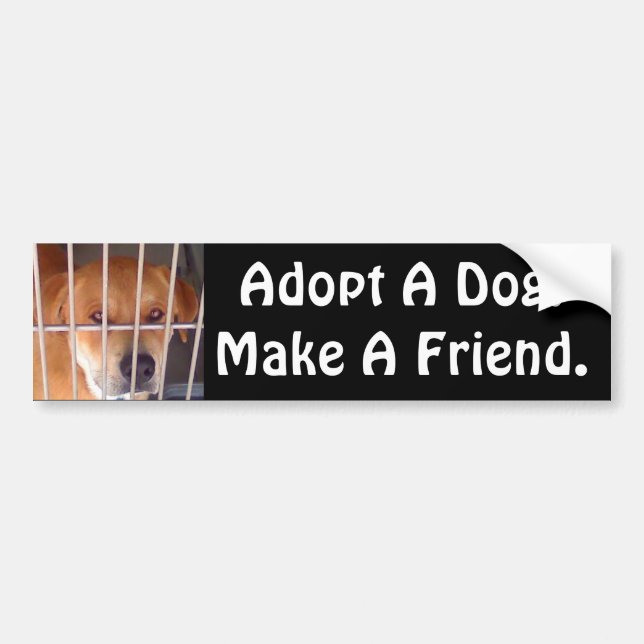 Make A Friend Bumper Sticker (Front)
