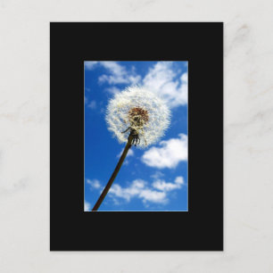 Make a Wish ACEO Art Trading Card