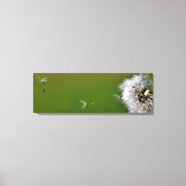 Make a wish! canvas print (Front)