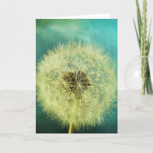 Make a Wish! Card