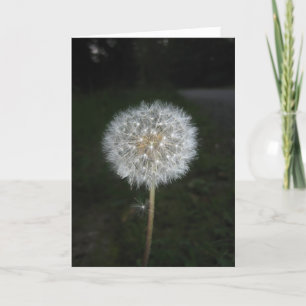 Make a Wish Card
