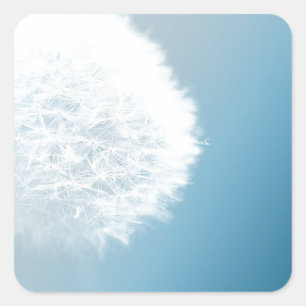 Make A Wish Dandelion Square Sticker