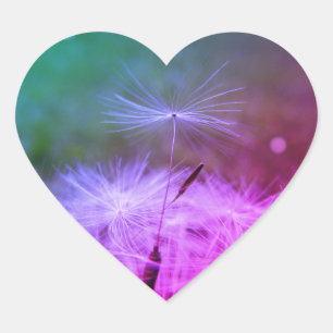 Make a wish dandilion sticker