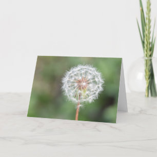 Make a Wish Greeting Card