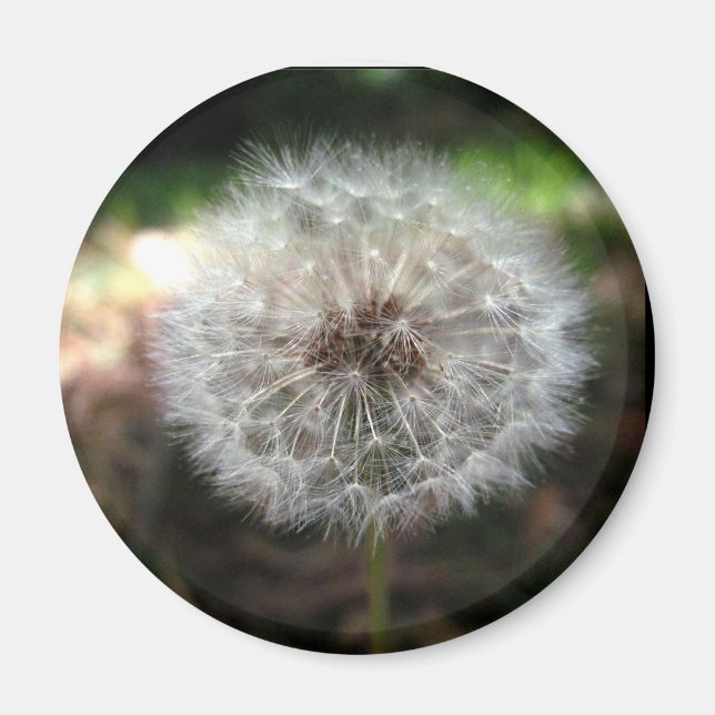 Make a Wish - Magnet (Front)