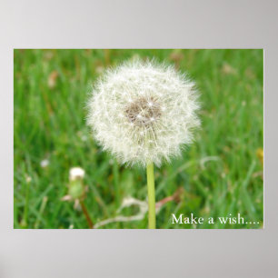 Make a Wish Poster