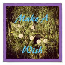 Make A Wish