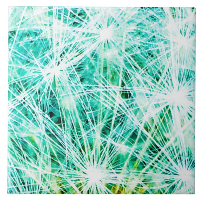 Make a Wish Tile (Front)