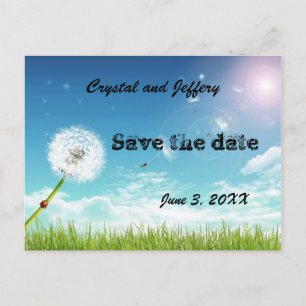 Make a Wish Wedding Save the Date Announcement Postcard
