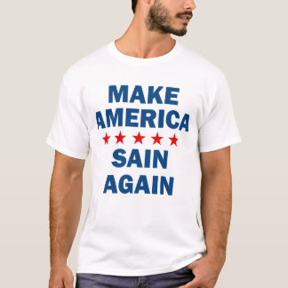 Make America Sane Again T-Shirt