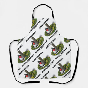Make Everyday An Open Source Day Java Duke Apron