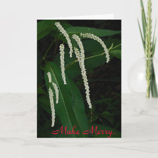 Make Merry Holiday Card