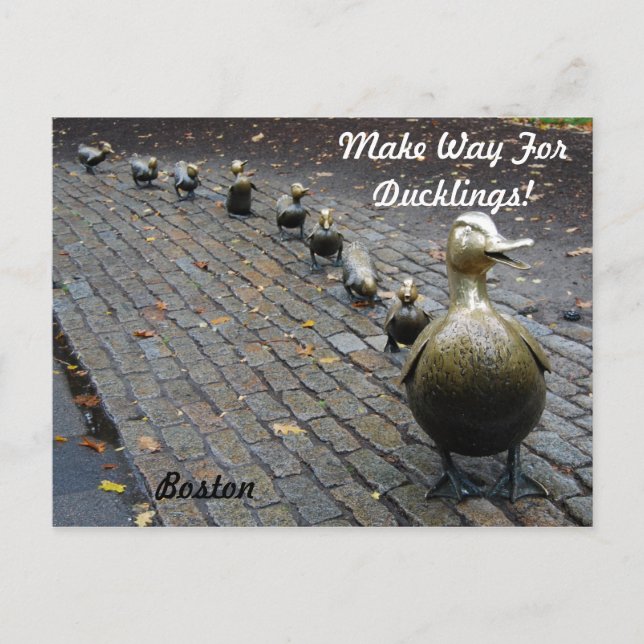 Make Way For Ducklings! Postcard (Front)