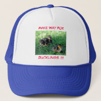 Make Way For Ducklings!!!