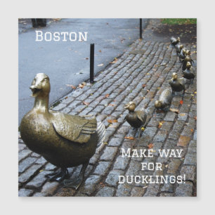 Make Way For The Ducklings
