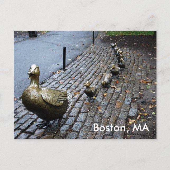 Make Way For The Ducklings Postcard (Front)
