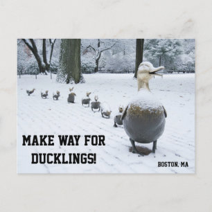 Make Way For The Ducklings Postcard