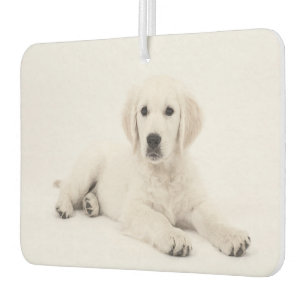 Make Your Own Both Sides Pet Photo Custom Unique Car Air Freshener