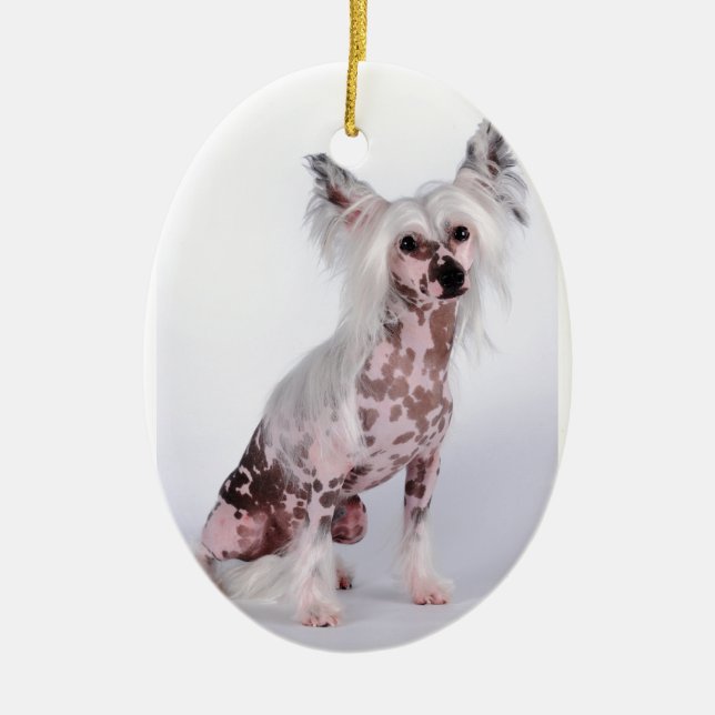 Make Your Own Ceramic Tree Decoration (Front)