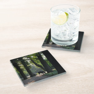 Make your own Great Dane Glass Coaster